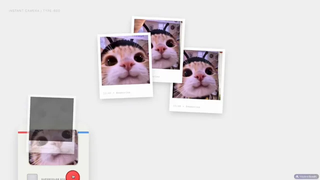 Retro Polaroid camera website with photo wall