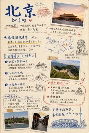 Travel Journal Scrapbook Infographic