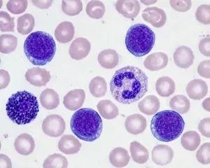 Biological Specimen Microscopy Prompt
