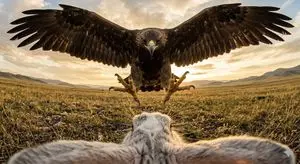 Ultra wide-angle cinematic photo of a rabbit and eagle