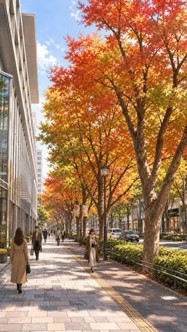 Google Maps Street to Autumn Illustration