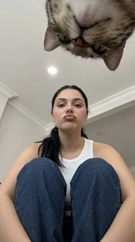 Low-Angle Amateur Snapshot with Extreme Perspective