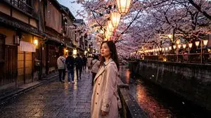 Cherry Blossoms in Nakameguro