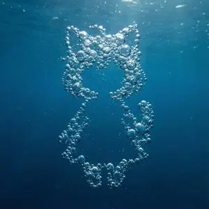 Underwater Bubble Silhouette Prompt