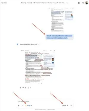 AI Overview Critical Analysis Prompt