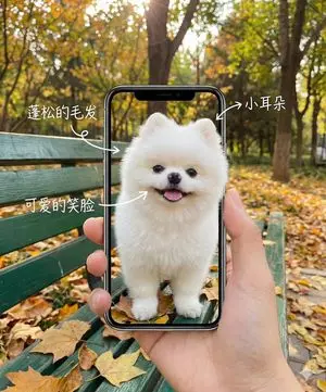 Smartphone Screen Illusion Portrait Template