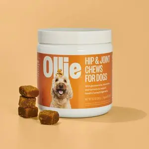 Consistent Product Photography for Dog Chews (3 Scenes)