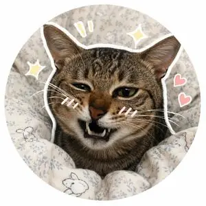 Social Media Pet Avatar Creator