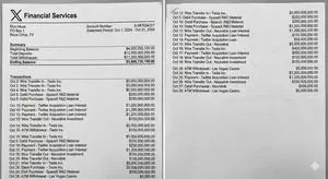 Elon Musk bank statement mockup