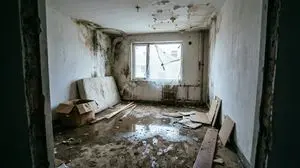 Renovation Visualization: Before Frame