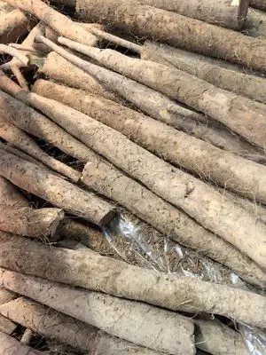 Yam Product Packaging Design Prompt