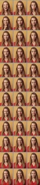 Multi-Panel Expression Grid