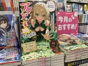 Light novel cover and bookstore display
