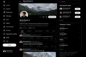 Realistic X Profile Page Mockup