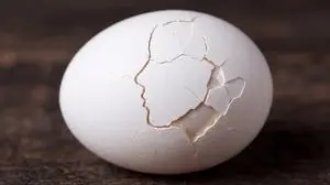 Cracked Egg with Shape Outline