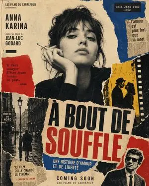 Vintage French New Wave Movie Poster
