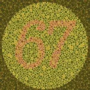Ishihara Color Blindness Test Plate