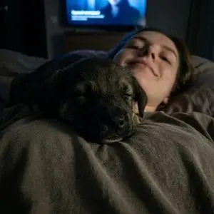 Extreme Close-up Puppy Selfie Prompt (Low Light)
