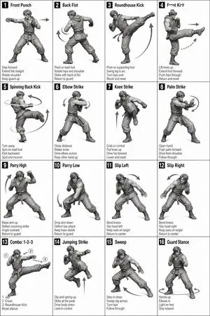 Instructional Martial Arts Movement Sheet