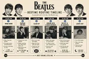 Themed Routine Timeline Infographic