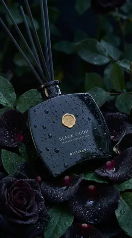 Ultra-realistic luxury product photography of a black glass reed
