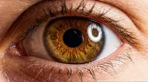 Extreme Macro Human Eye Photography