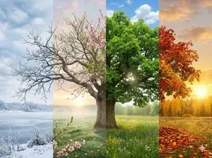 Four Seasons Transition Prompt