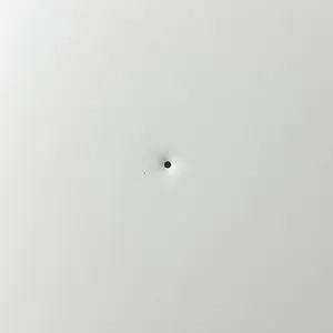 Ontologically Tyrannical Black Point