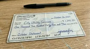 Photorealistic Bank Check Macro
