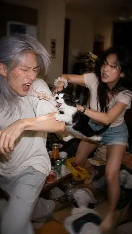 Chaotic Cat Flash Snapshot