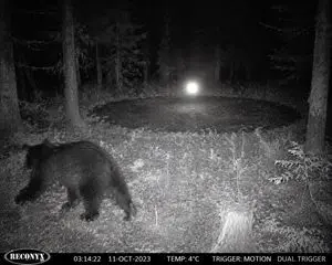 Paranormal Trail Camera Encounter