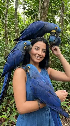 Exotic Wildlife Fashion Editorial Prompt (Blue Macaws)
