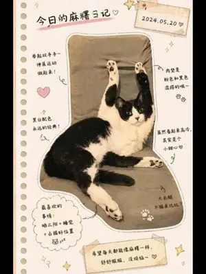 Japanese Journal Style Cat Diary