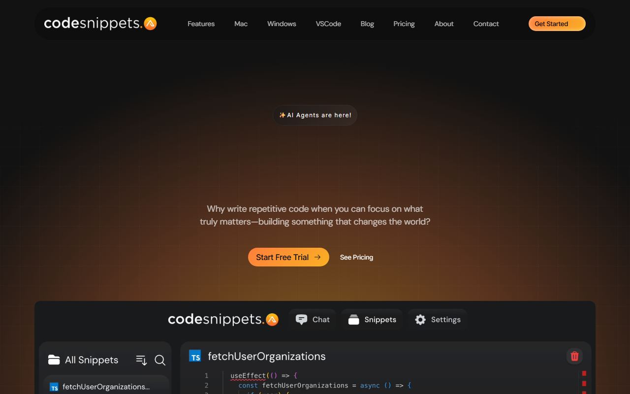 Screenshot of CodeSnippets official website