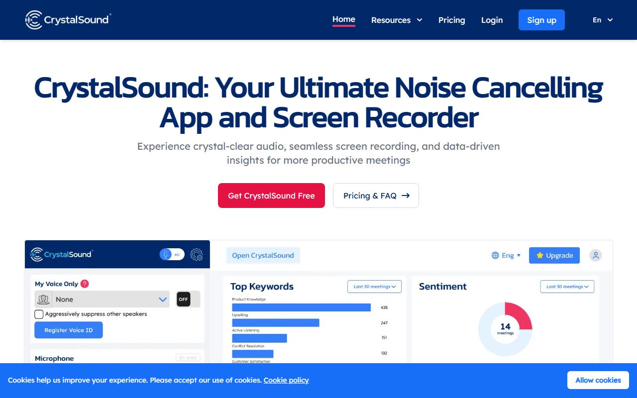 Screenshot of CrystalSound official website