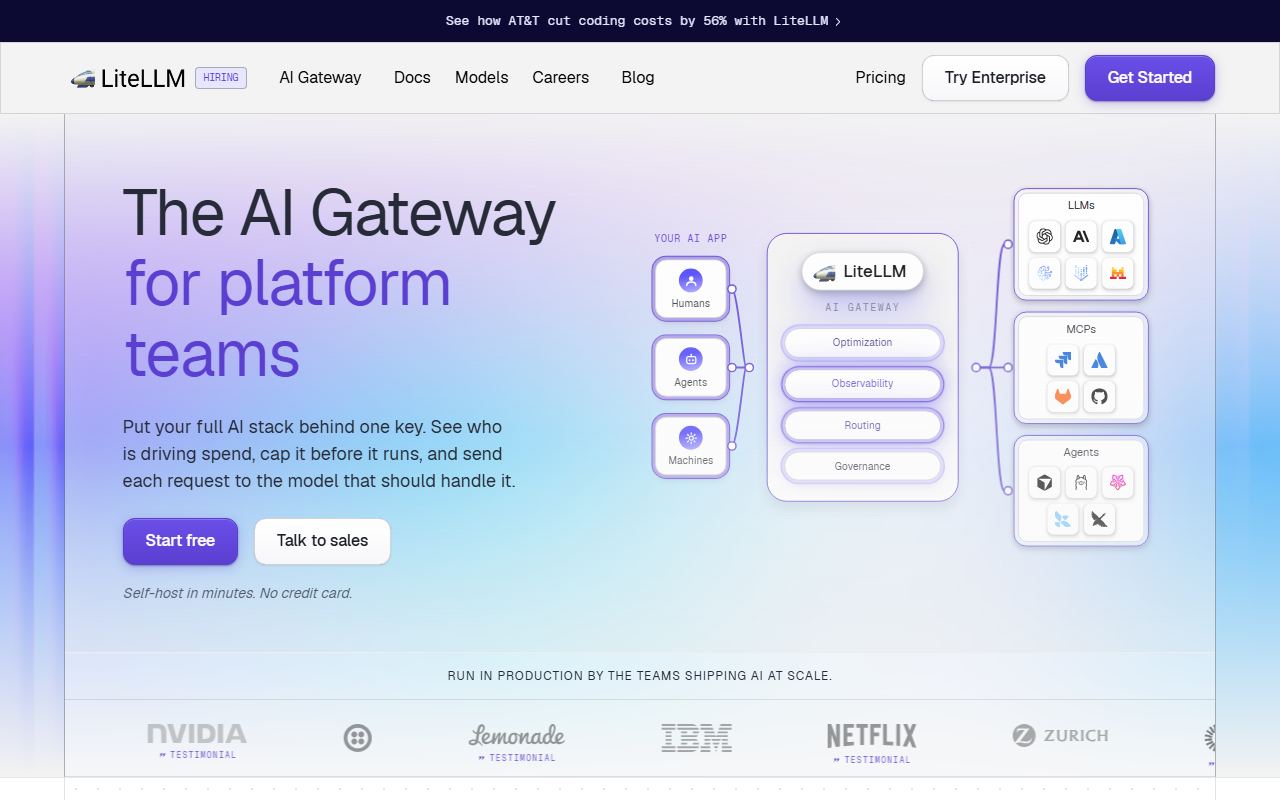 Screenshot of LiteLLM official website