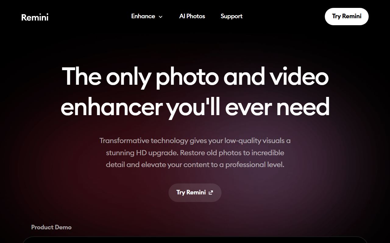 Screenshot of Remini official website
